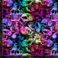 Jerseyprint med farverige skulls