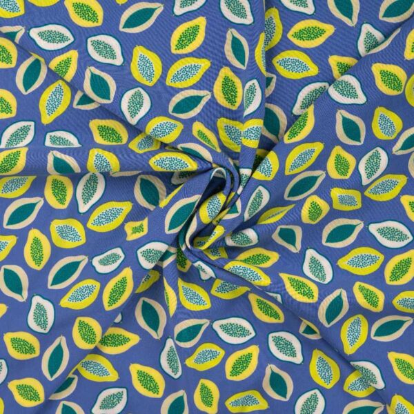 Viscose Chally
