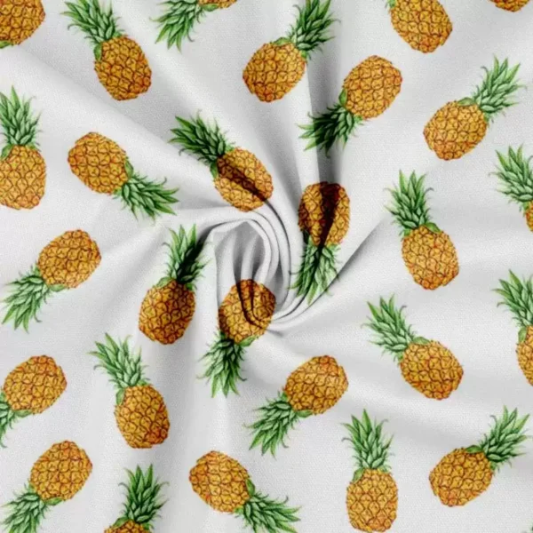 Canvas med ananas