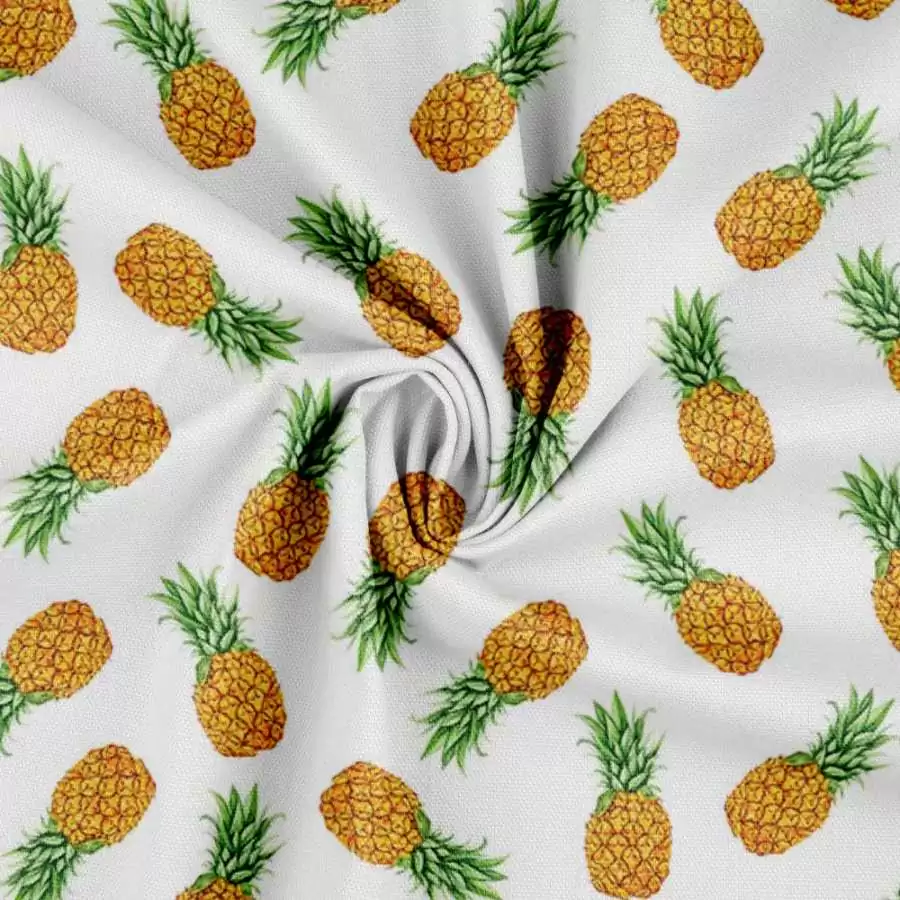 Canvas med ananas