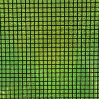 Folie med firkanter - Lime