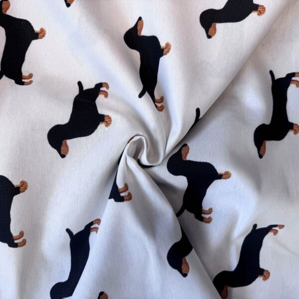 Canvas - hunde (dachshund)