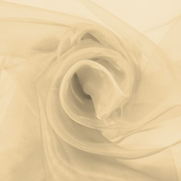 Organza Champagne